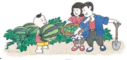 吃瓜毛驴,揭秘动物界的“八卦达人”