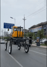 轩轩吃瓜GIF,趣味瞬间,笑翻网友