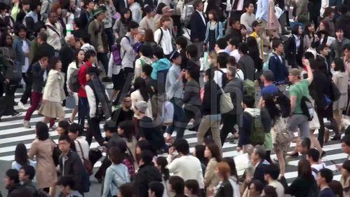 吃瓜观众跳河,一场意外的悲剧引发的社会思考