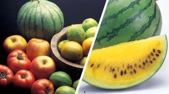 吃黄心瓜好吗减肥