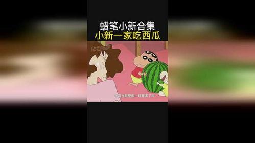 小新吃瓜西瓜视频
