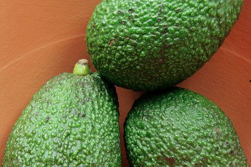 吃哈密瓜下巴红了