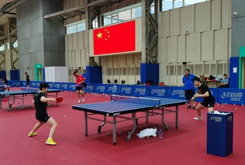 孙颖莎吃瓜马龙,揭秘乒乓球界“瓜王”背后的故事