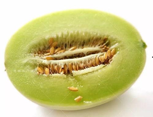 圆圆的吃瓜,揭秘娱乐圈幕后故事