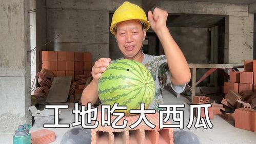 鹤川哥吃瓜,揭秘娱乐圈幕后故事