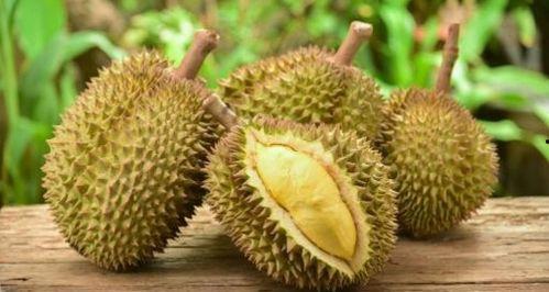 榴莲可以和角瓜一起吃吗