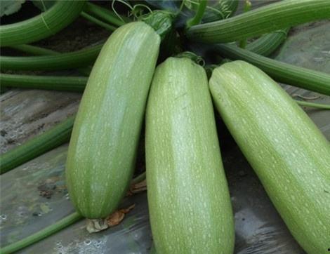 泽西吃瓜,揭秘娱乐圈背后的那些事儿