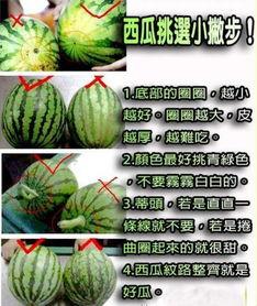 上音418吃瓜,一场关于“吃瓜”的校园热议事件深度解析