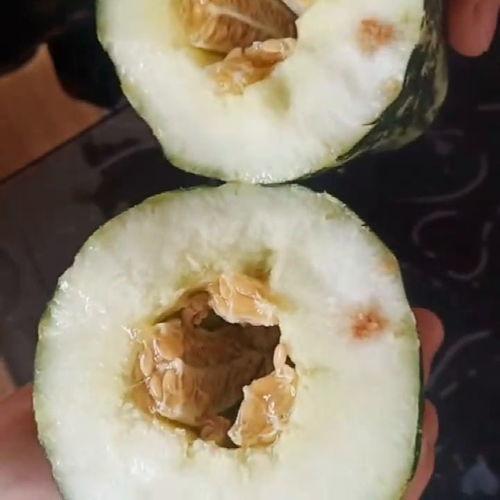 朋友不让吃瓜,拥抱宁静——拒绝吃瓜,守护心灵净土