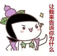 吃瓜我就是陈主任,网络红人的崛起与影响力