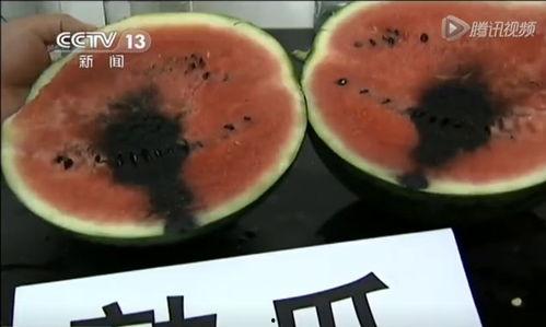 亚麻蝶视频吃瓜,揭秘网红吃瓜背后的故事