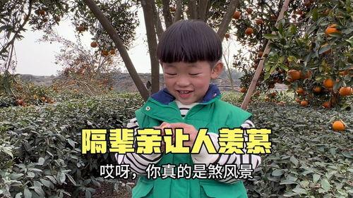 吃瓜反转故事大全视频,揭秘那些颠覆认知的吃瓜故事