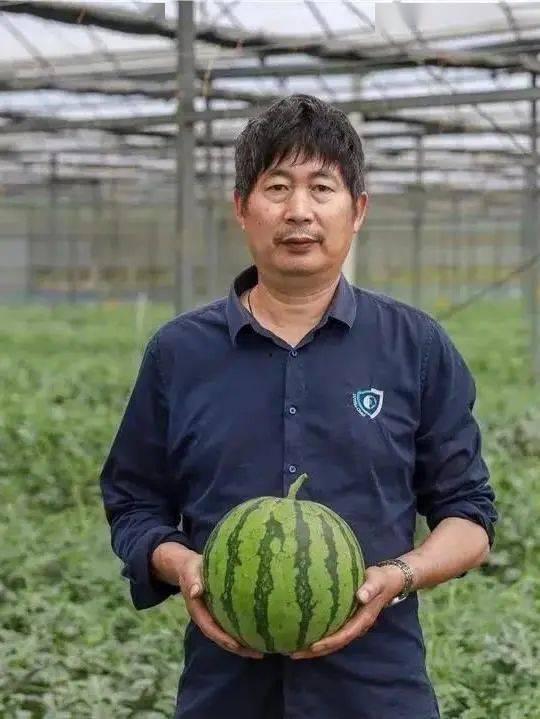 杨建平吃瓜群众,吃瓜群众的视角解读热点事件